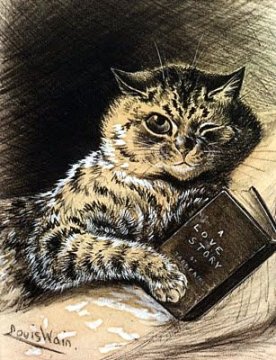 immagine gatto che legge