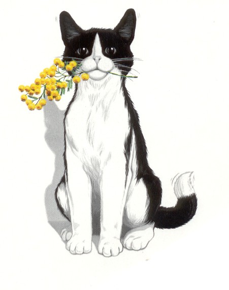 immagine di gattina con fiore di mimosa